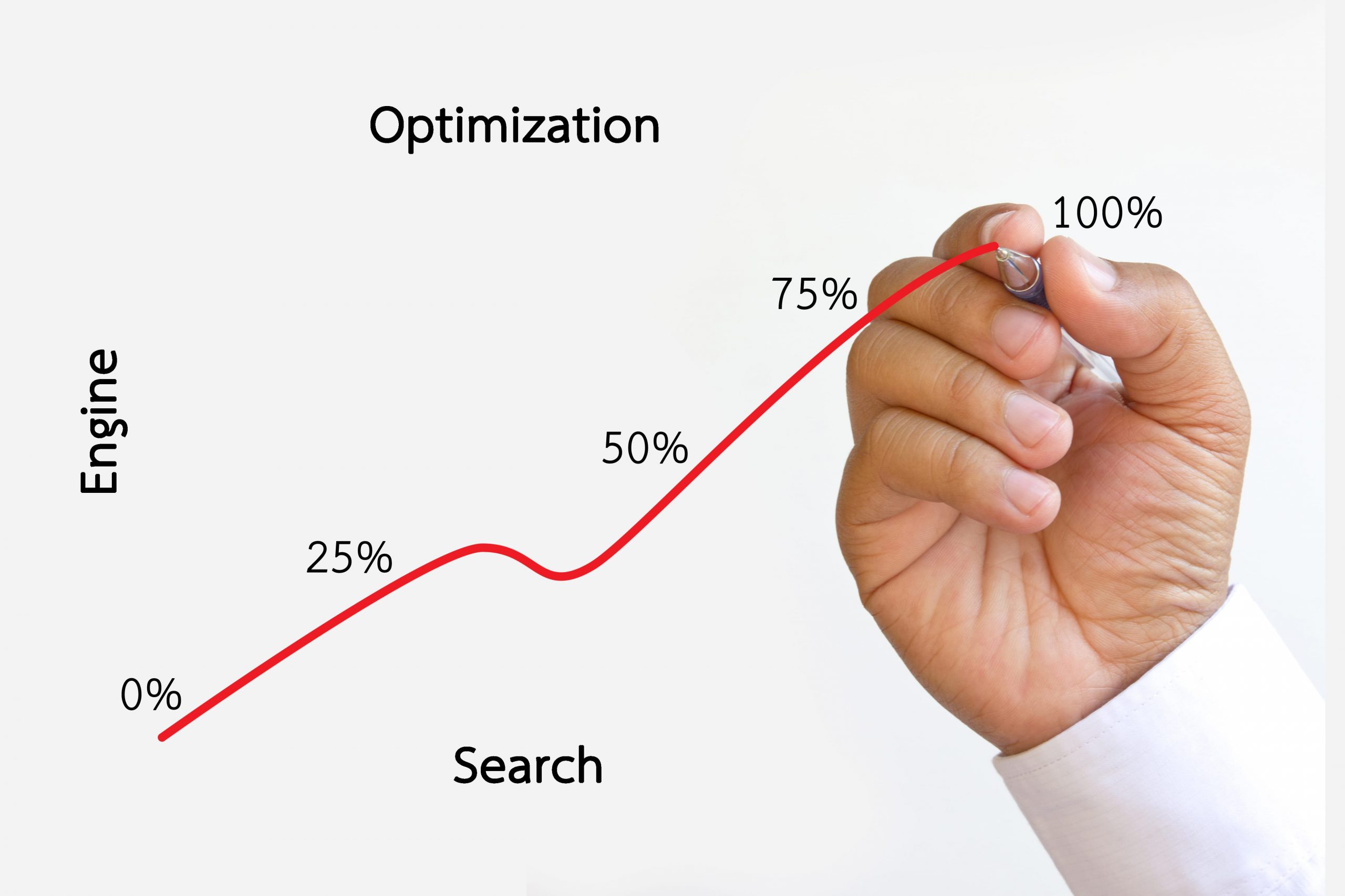 Professional SEO Services with Expert Strategists